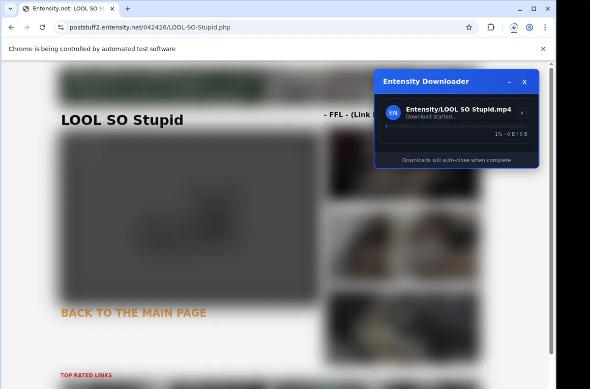 Entensity Video Downloader browser extension screenshot 2