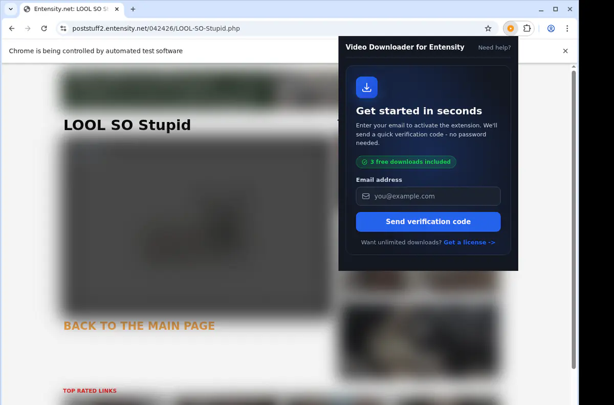 Entensity Video Downloader browser extension screenshot 5